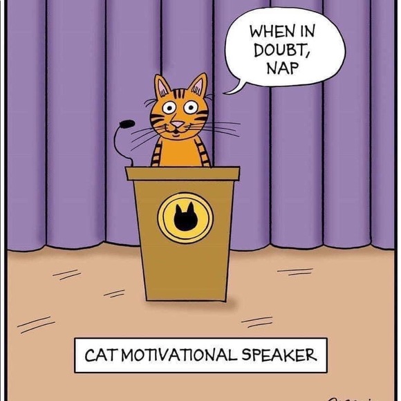 Live Show Notification - Or just stop by for some shares & hot cocoa ☕️ - Picture 10 of 15